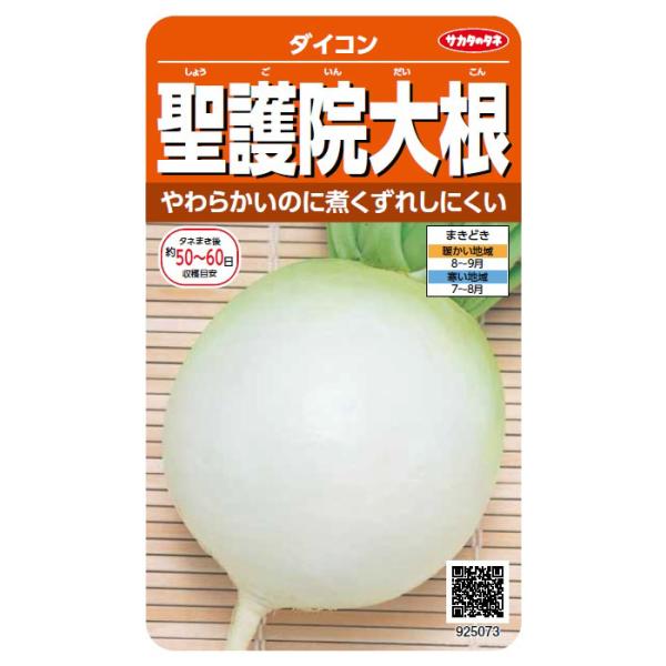 京野菜の代表種、丸形ダイコン。青首の丸球で、す入りは遅いです。肉質はきめ細かく、甘みがあります。