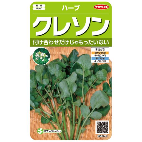 他サイト： 野菜の種　実咲ハーブ8073 クレソンハーブの商品画像