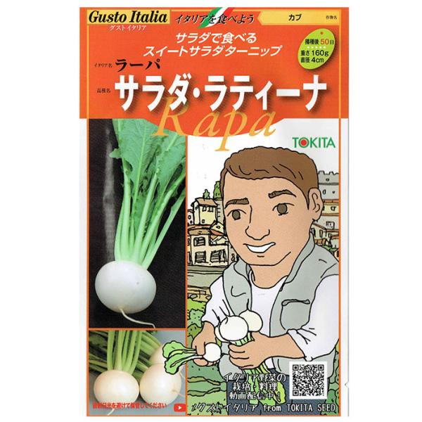 イタリアで人気のサラダカブが凱旋！品種：サラダ・ラティーナイタリア名：ラーパ作物名：カブ種数：200粒播種期：春・秋収穫までの目安：播種後　50日