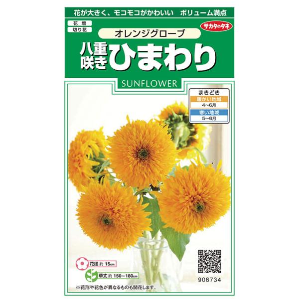 果物とひまわり（混合技法) 果物とひまわり（混合技法)