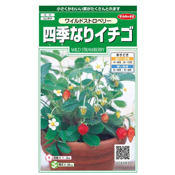 実は鮮紅色で2〜3cmの小粒ですが、旬の時期や大株になると甘みがグンと増します。商品名  四季なりイチゴ ワイルドストロベリーＪＡＮ 4974449060825 内容量 　　0.1ml粒数     　    約143粒発芽率 　　70%播き...