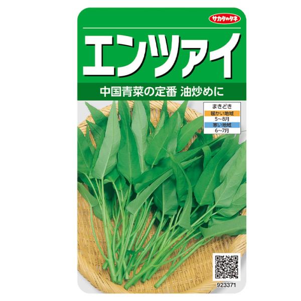 他サイト： 野菜の種　実咲野菜3371 エンツァイの商品画像