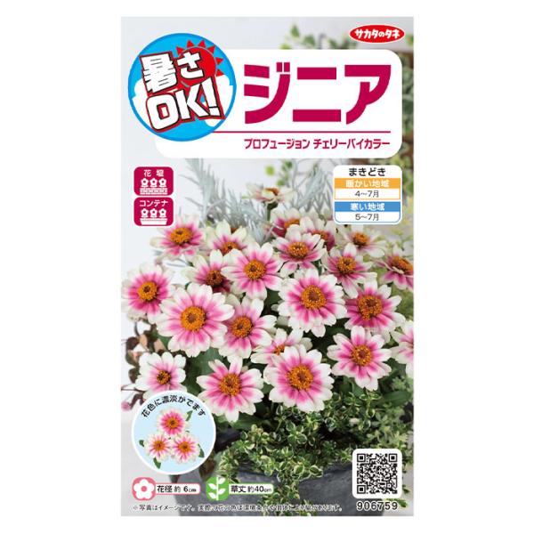 豊富な花色です。すっきり一重咲きのプロフュージョンは育てやすいので初心者にもおすすめです。発色のよい花色なので、コントラストを付けたい花壇などで使うことができます。