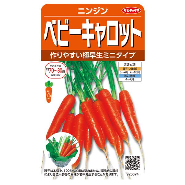 野菜の種　実咲野菜5674 　ニンジン　ベビーキャロット