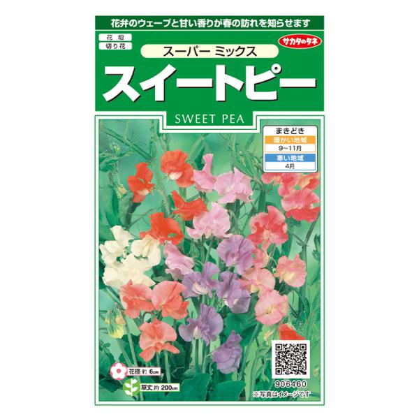 大輪で優雅なウェーブと甘い香りが魅力です。