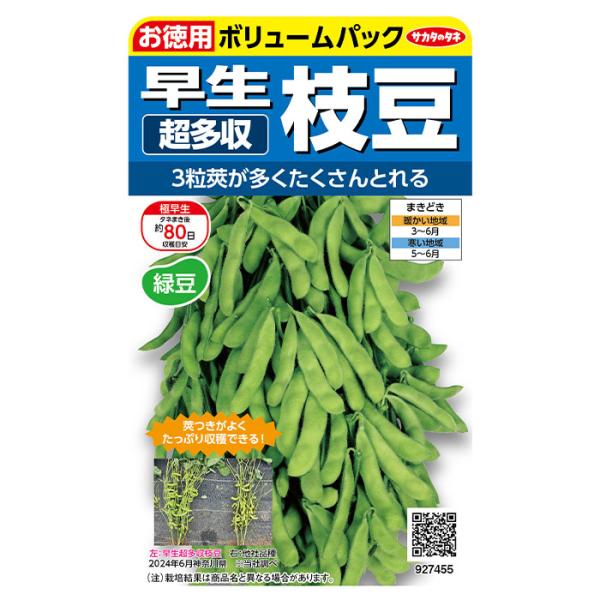 3粒莢がたくさんとれて、たっぷり収穫できる大満足の早生枝豆です。生育も旺盛なので丈夫に育ち、高温下でも莢つきが良いので、とても作りやすいです。
