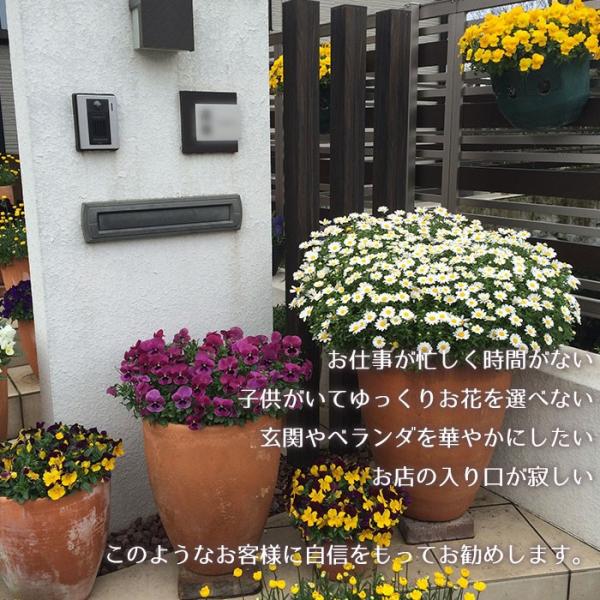 季節の寄せ植え 春 夏 おしゃれなタル型鉢 黒 送料無料 沖縄 離島を除く Buyee Buyee Japanese Proxy Service Buy From Japan Bot Online