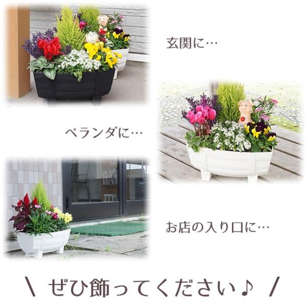 季節の寄せ植え 夏 おしゃれなタル型鉢 黒 お中元などのギフトやプレゼントにも最適 送料無料 沖縄 離島を除く Buyee 日本代购平台 产品购物网站大全 Buyee一站式代购 Bot Online