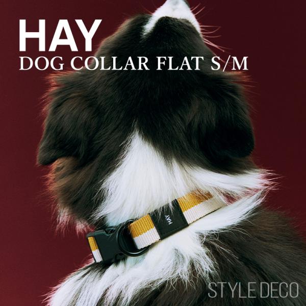正規販売店】HAY Dogs Collar Flat #S/M《2025SS》ヘイ 犬 首輪 犬首輪