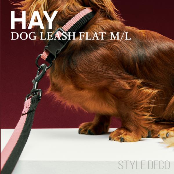 正規販売店】HAY Dogs Leash Flat ヘイ 犬 リード 160cm 犬用 小型犬