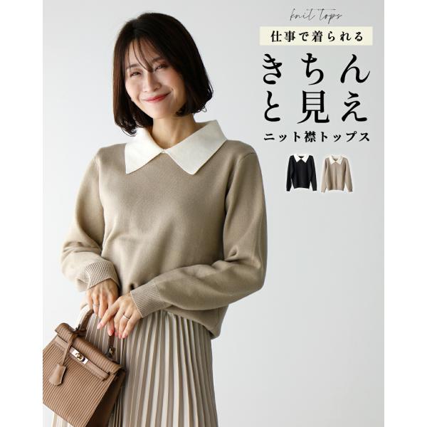 襟付きニット ニット セーター 襟付きセーター トップス ブラック ベージュ black beige 黒 肌色 秋 冬 春 無地