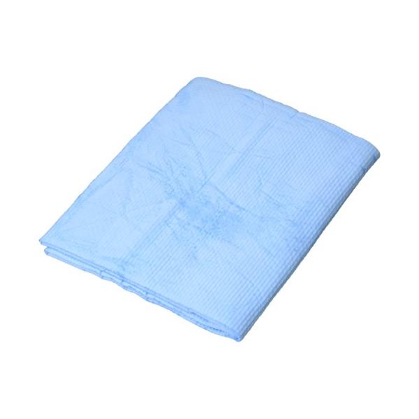 他サイト： アイオン(AION) 拭き取りクロス プラスセーヌ L ブルーの商品画像
