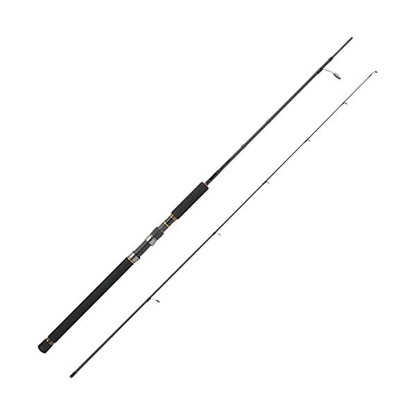 AbuGarcia (アブガルシア) オーシャンフィールド サワラキャスティング