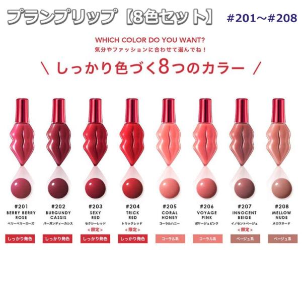 ルージュプランプ  グロス 4本まとめ売り ルージュプランプ グロス 4本まとめ売り