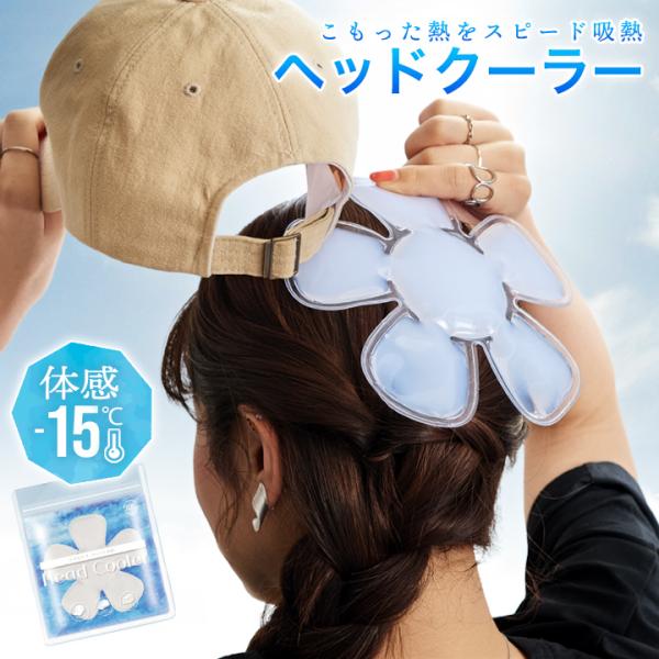 帽子 保冷剤 ヘッドクーラー 帽子用 アイスパック アイシング 暑さ対策 グッズ 熱中症対策 頭 冷却 ひんやり 冷たい 大人 子供 キッズ フェス アウトドア