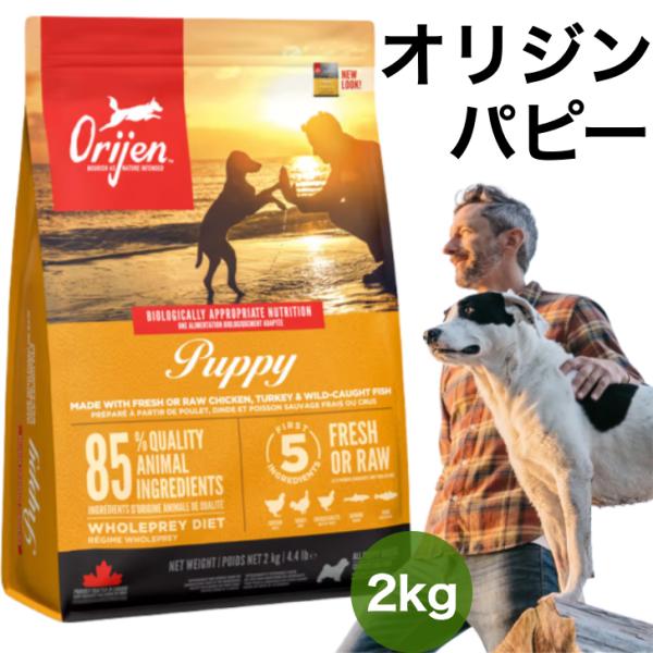 Orijen(オリジン) ドッグフード パピー 2キログラム (x 1) : ラース