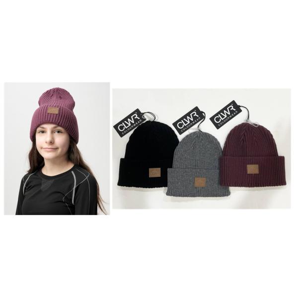 ビーニー ニット帽 カラーウェア CLWR BADGE BEANIE メンズ レディース アウトドア スキー スノーボード 2600