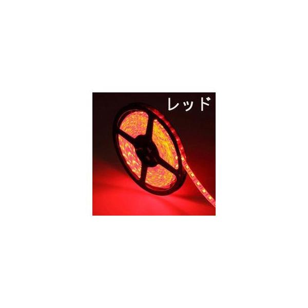 LEDe[vCg 5050^`bv bh 5M 300 IP44h SUCCUL