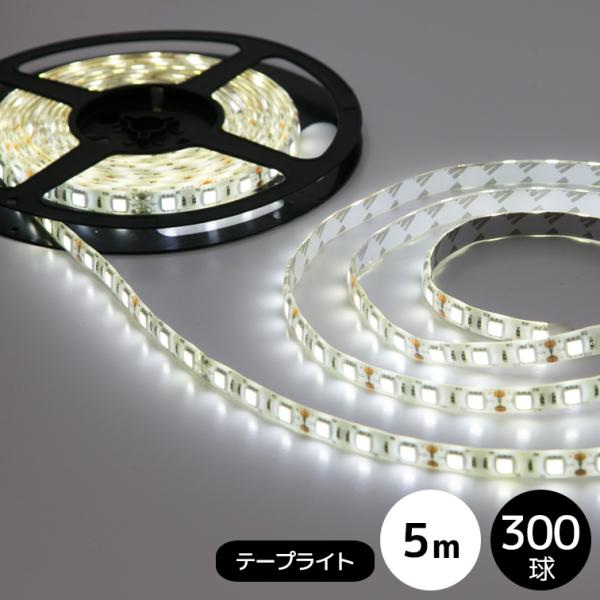 LEDe[vCg 5050^`bv zCg 5M 300 IP44h SUCCUL