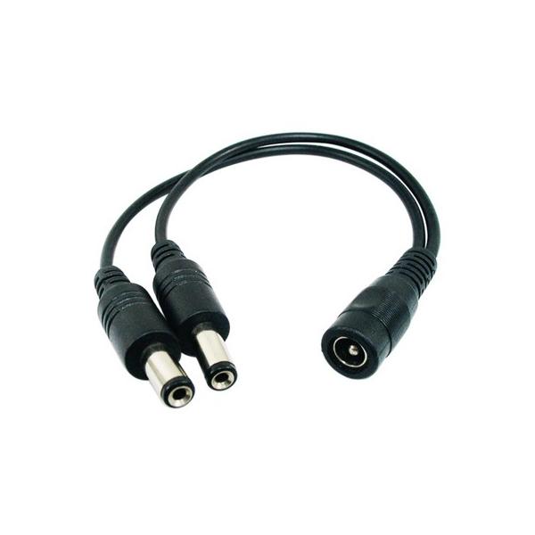 yzACA_v^[poDCvO 2P[u Oa5.5mm a2.1mm SUCCUL