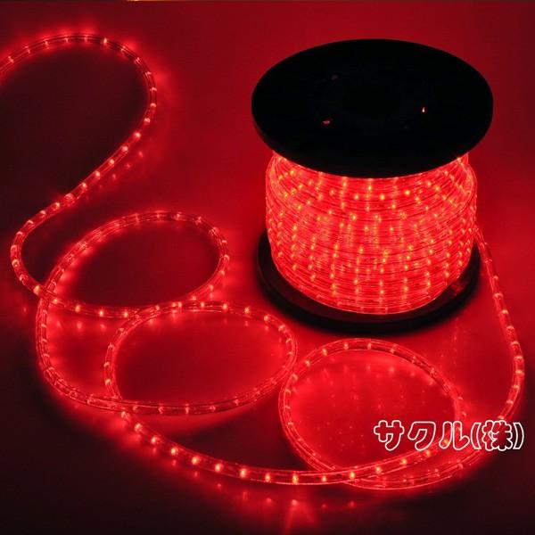 dt LED`[uCg [vCg bh  2c^Cv 10m a10mm 300 NX}XC~l[V SUCCUL