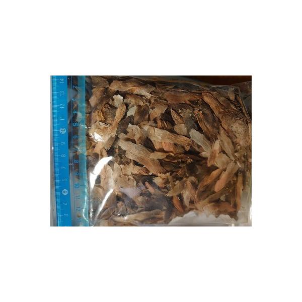 q50@vAq~bNX(PLUMERIA MIX)