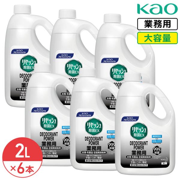 花王 リセッシュ 除菌ＥＸ デオドラントパワー 香り残らない 2L × 6本 1ケース 消臭剤 防カビ 衣類 布製品 大容量 業務用 詰め替え