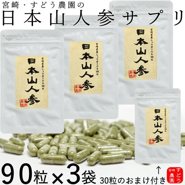 日本山人参 サプリ 90粒×3袋セット＋30粒おまけ付き ヒュウガ