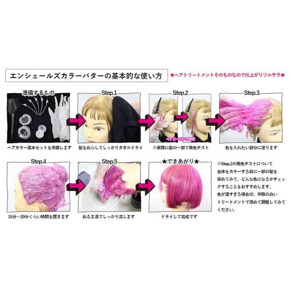 エンシェールズ カラーバター アッシュピンク 0g ヘアカラー Erhamah Com