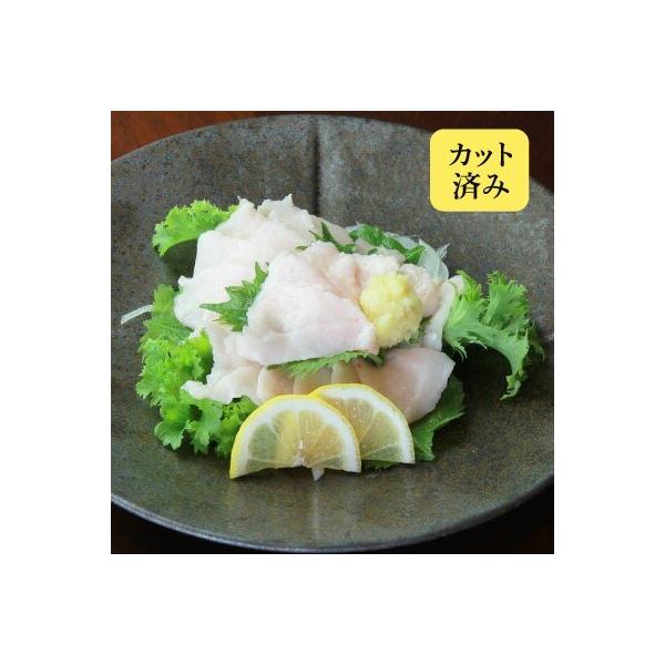 Ε 2025 Mtg v[g nh n F{  Nnh 40g REl XCX 8`10ؒx ΂ nh  j T 蕨 j Ε