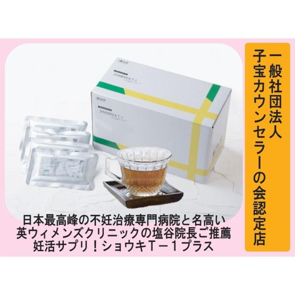 ショウキT-1プラス タンポポ茶 30包 4箱 送料無料 海洋ミネラル10500円分プレゼント レビューでさらにおまけ付
