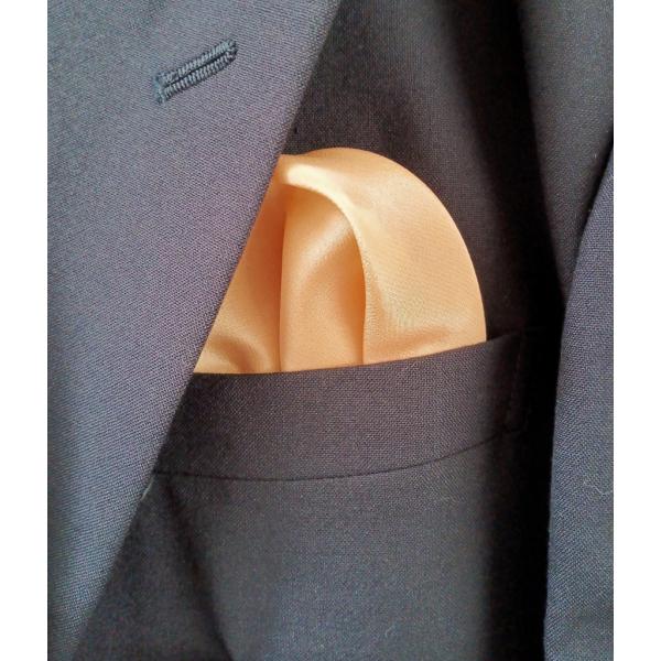 送料無料！（郵便orレターパック）(商品代引はご相談下さい)本染は桜の花を付ける前の枝で行います。最終染色に少量の茜を加えサーモンピンクの落ち着いた色合いに仕上げています。入学 卒業 父の日 記念日 還暦 敬老のお祝  プレセント　草木染め...