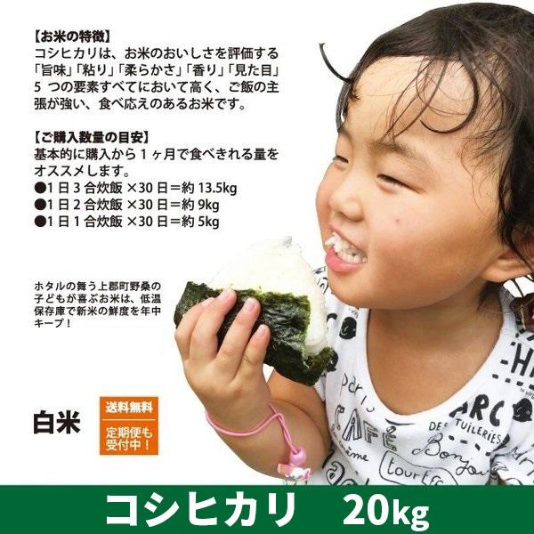 大幅値下げランキング ホタル舞う熊本産お米20kg tyroleadership.com