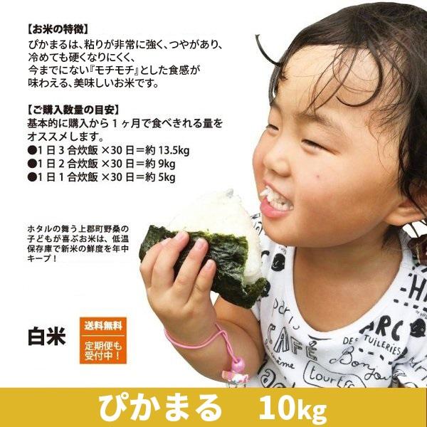 令和7年度産 ぴかまる 精米 白米 10kg（10kg×1袋） 兵庫県上郡町産 送料無料