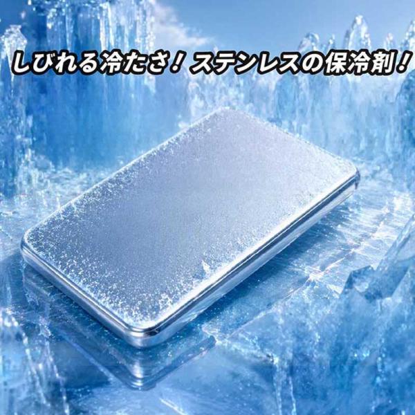 保冷剤 ステンレス キンキン氷結プレート 大 冷凍 冷却 鮮度維持 保冷 シンプル 保冷バッグ お弁当入れ 買い物バッグ クーラーボックス おしゃれ 雑貨 lal filo