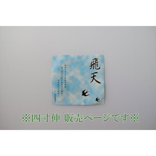 ◆こちらは【四寸伸】用の販売ページです◆特殊アラミド繊維を使用し、強度・弾性ともに優れた弦です。こちらは２本入の価格です。中仕掛け麻が付属しております。（パッケージ説明文より引用）特殊アラミド繊維煮込弦飛天弦は伝統と新技術の融合弦新時代の到...