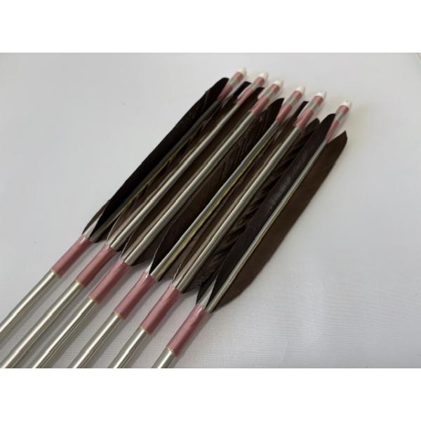 ジュラルミン矢「EASTON社」、６本セット矢です。・シャフトの太さ：1913・シャフトのカラー：シルバー・矢羽根の種類：黒手羽・矢羽根の模様：黒（単色）・矧ぎ糸のカラー：ピンク色・筈の色：白色ご希望の矢尺を記入のうえ注文してください。（１...