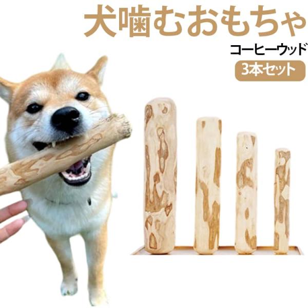 【3本セット】コーヒーウッド 犬 噛むおもちゃ コーヒーの木 無添加 歯磨き オーガニック デンタルケア ストレス解消 グッズ 玩具 口臭ケア 木製