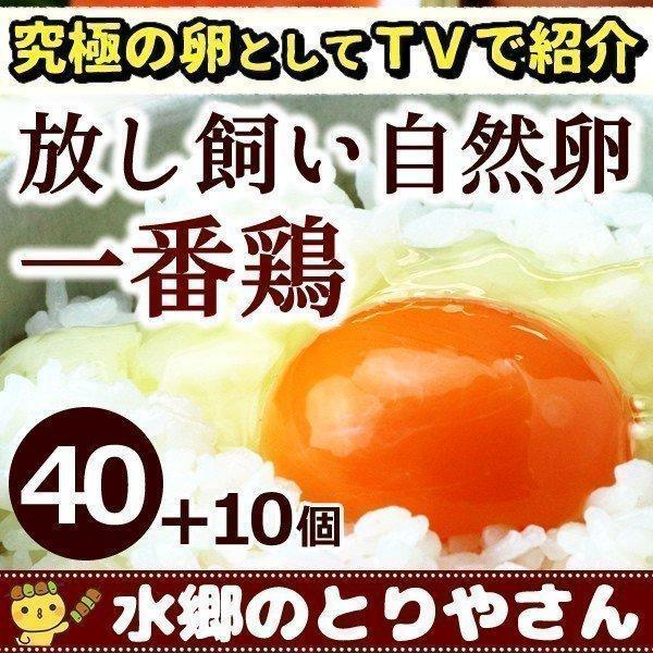 当店の卵は完全放し飼いにこだわった卵で、広々とした運動場で元気に走り回っている鶏さんの自然卵をお届けします。TVでも『究極の卵』と紹介された自慢の自然卵です。商品内容：自然卵40個詰め（＋破損保障分10個）賞味期限：21日間(10月〜5月)...