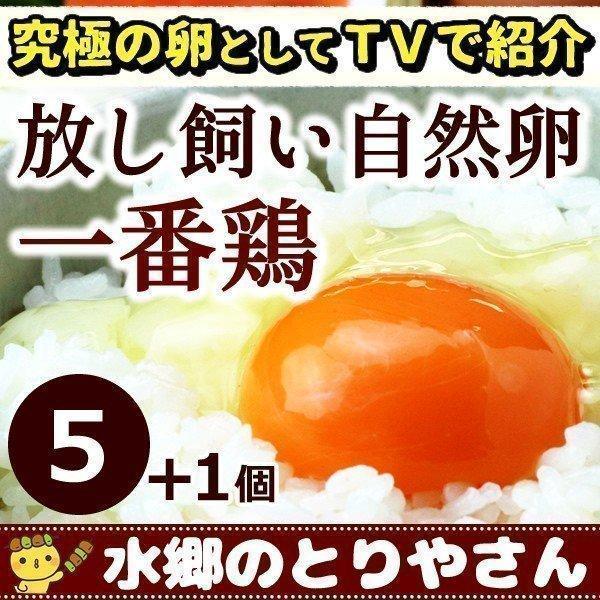 当店の卵は完全放し飼いにこだわった卵で、広々とした運動場で太陽の光をたっぷりと浴びながら、元気に走り回っている鶏の卵をお届けします。商品内容：自然卵5個詰め（＋破損保障分1個）賞味期限：21日間(10月〜5月)14日間（6月〜9月）【冷蔵限...