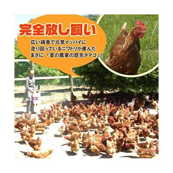 鶏肉 かたい親鳥 むね肉 皮付き 1kg 親どり ひね鶏 ひね鳥 国産 鶏肉 昔ながらの硬い親鶏 Buyee Buyee Japanese Proxy Service Buy From Japan Bot Online