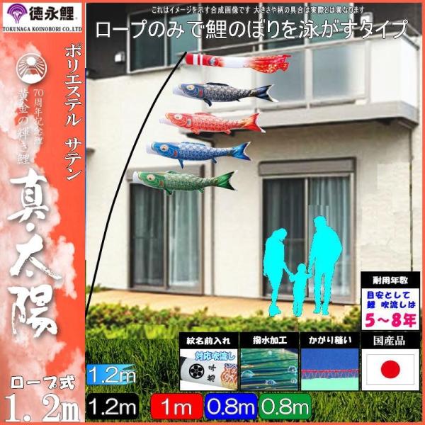 ̂ڂ i 410194 ɂfRZbg ^Ez 1.2m4C ̏oߐ H 139587753