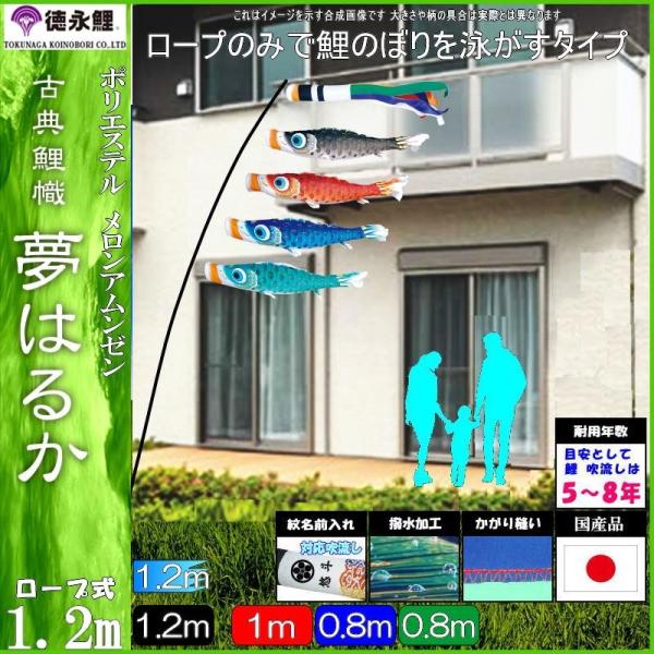 ̂ڂ i 410214 ɂfRZbg ͂邩 1.2m4C ܐF H 139587764