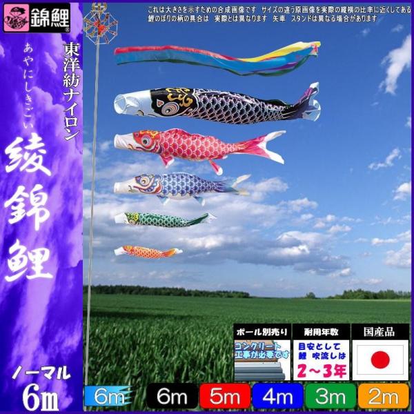 綾錦鯉5mセット 綾錦鯉5mセット 綾錦鯉5mセット 綾錦鯉5mセット