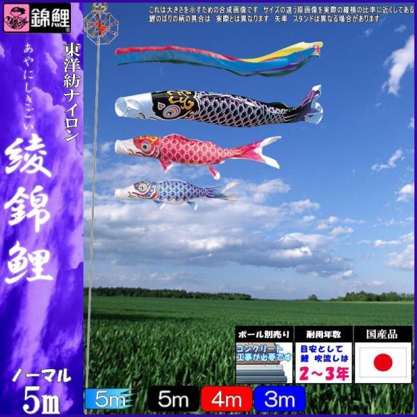 ̂ڂ ь ANG0053 m[}Zbg ь 5m3C ܐF 139600274