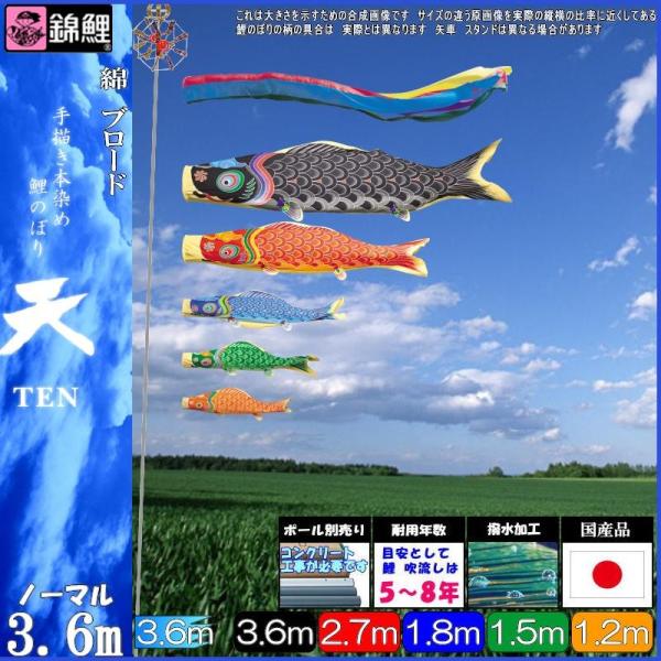 ̂ڂ ь TEN205G m[}Zbg V 25C ܐF H 139600762