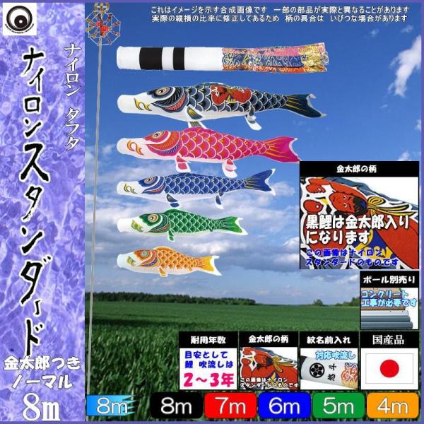 ̂ڂ  100617 m[}Zbg iCX^_[h 8m5C Y ė 265057348