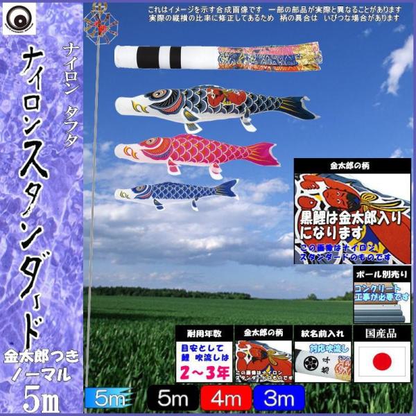 ̂ڂ  101898 m[}Zbg iCX^_[h 5m3C Y ė 265057355