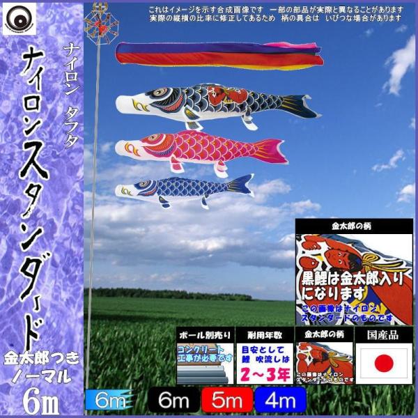 ̂ڂ  101447 m[}Zbg iCX^_[h 6m3C Y ܐF 265057369