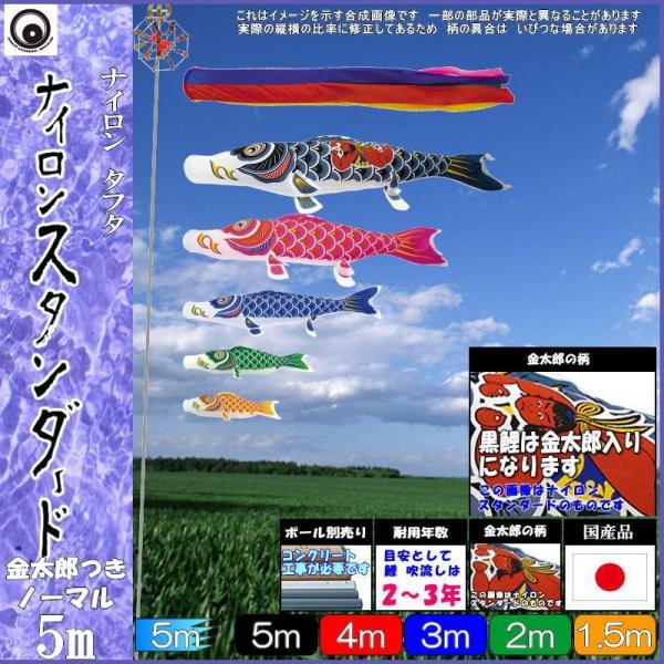 ̂ڂ  101928 m[}Zbg iCX^_[h 5m5C Y ܐF 265057374